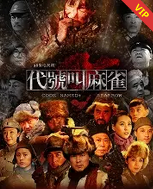 代号叫麻雀海报